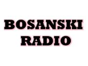 Bosanski Radio - Internet, BiH
