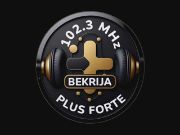 Plus Forte Bekrija - Tetovo, Makedonija