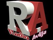 Radio Avlija - Internet, Dijaspora