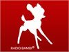 Radio Bambi - BiH