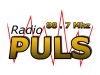 Radio Puls Grocka - Srbija