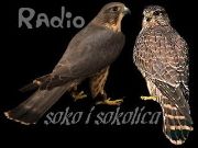 Radio Soko i Sokolica - Internet, Dijaspora